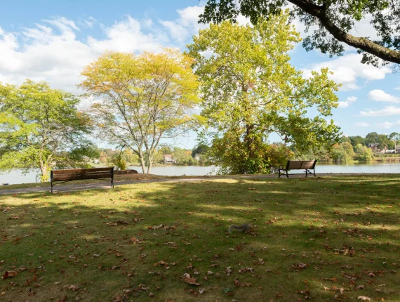 Lakeside Office Park