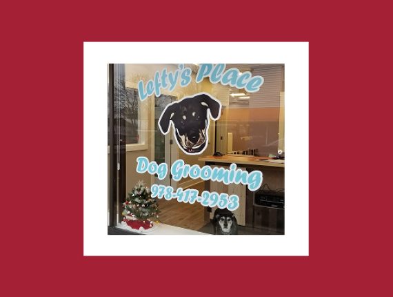 508×385 – Lefty’s Place